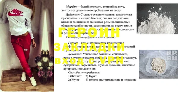 spice Беломорск