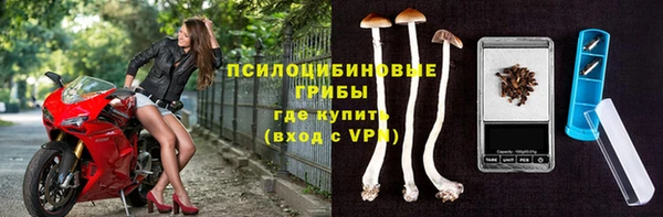 мяу мяу мука Белокуриха